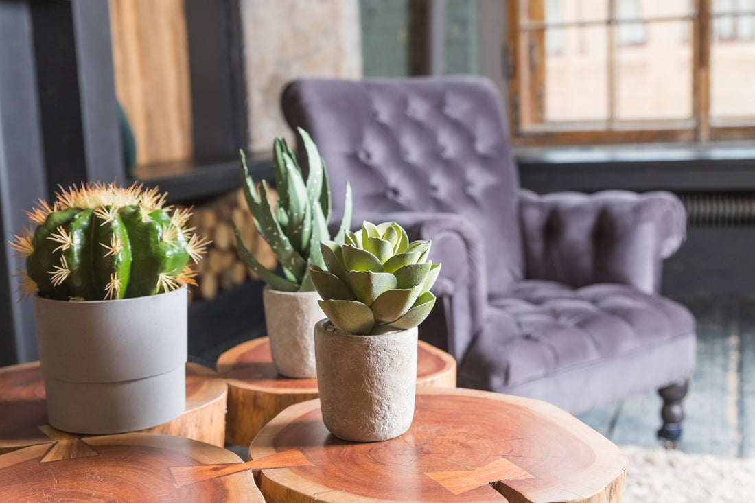 Creating a Cohesive Living Area with Decorative Elements