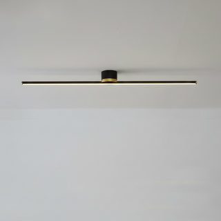 Ceiling Light with Linear Metal Frame