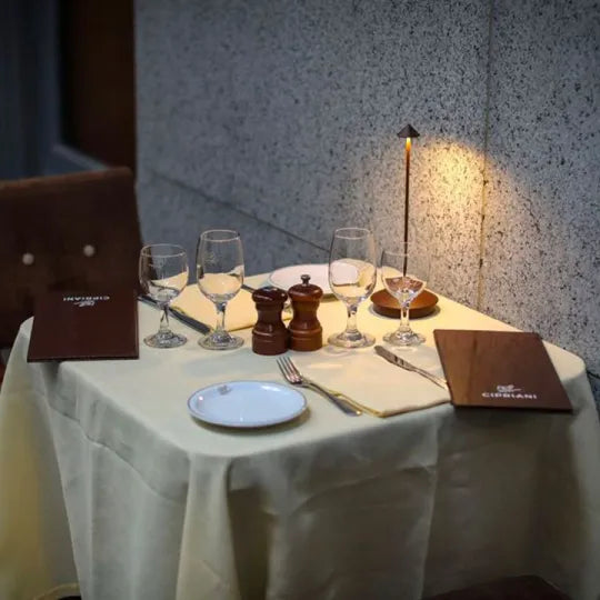 Cordless dimmable LED table lamp