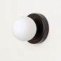 Frosted Glass Globe Wall Lamp in Black