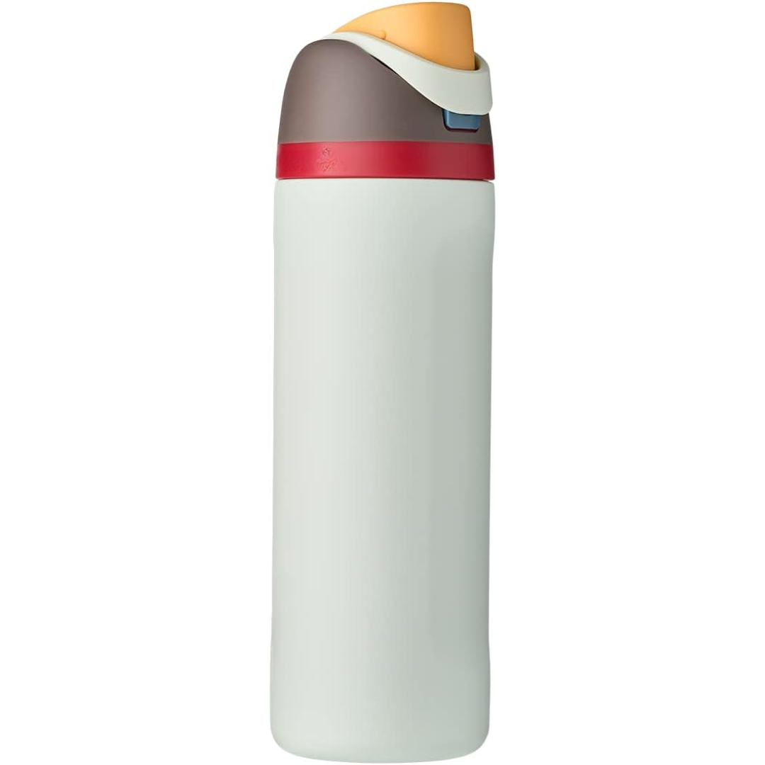 Insulated Stainless Steel Water Bottle with Straw in Light Grey