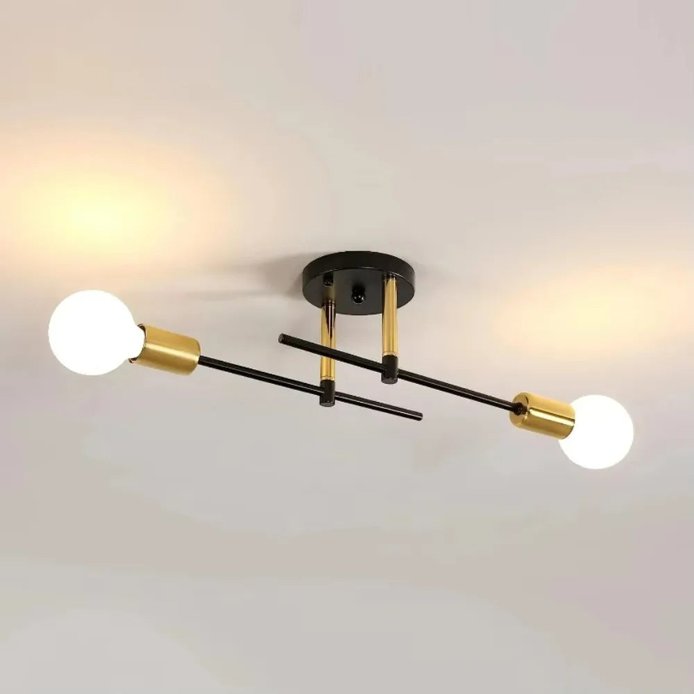Iron 2-Light Ceiling Lamp