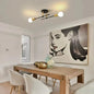 Iron 2-Light Ceiling Lamp – detail view
