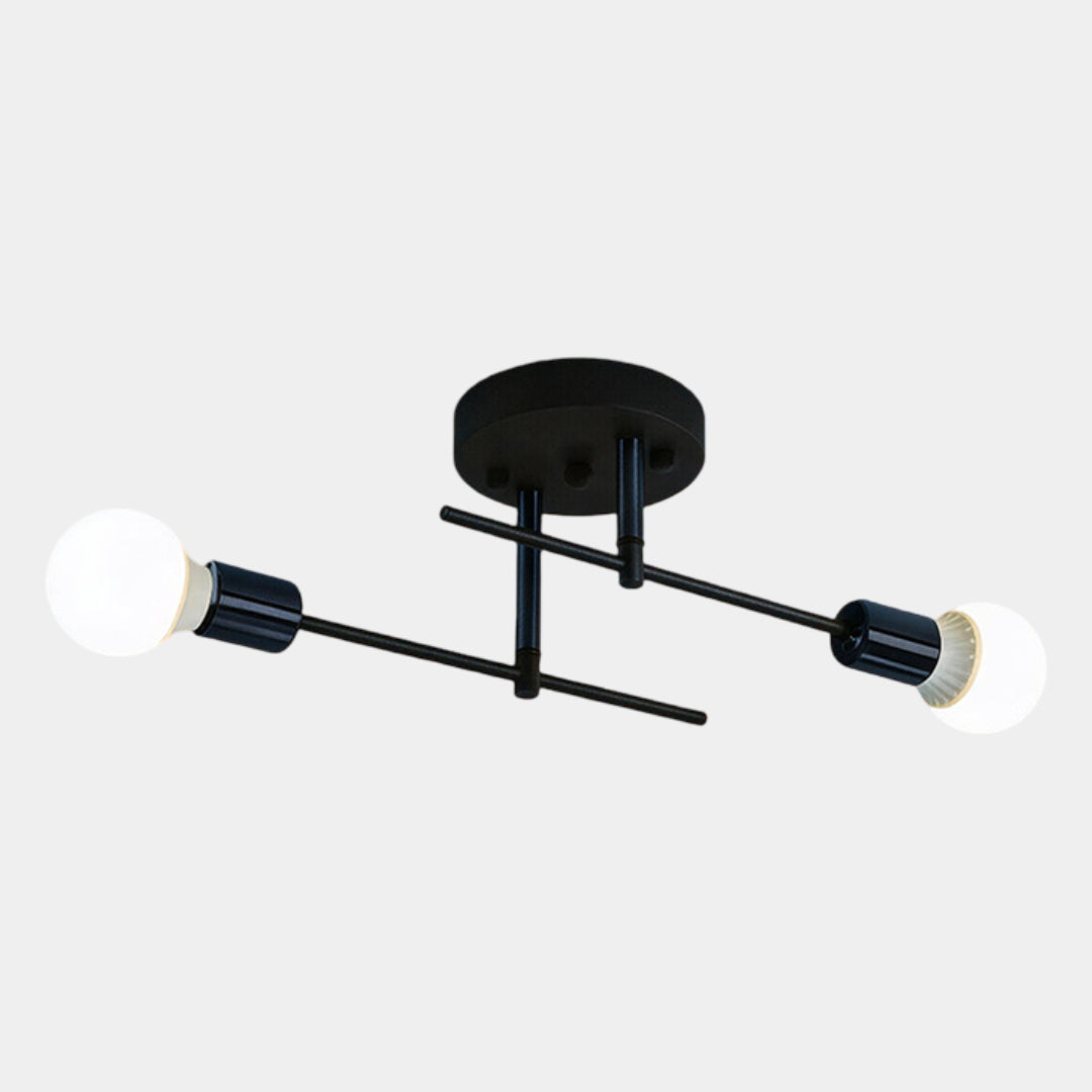 Iron 2-Light Ceiling Lamp in All Black