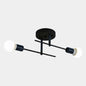Iron 2-Light Ceiling Lamp in All Black