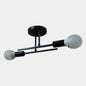 Iron 2-Light Ceiling Lamp in All Black – product photo