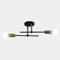 Iron 2-Light Ceiling Lamp in Black Gold