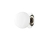 Glass Globe Wall Light in Silver