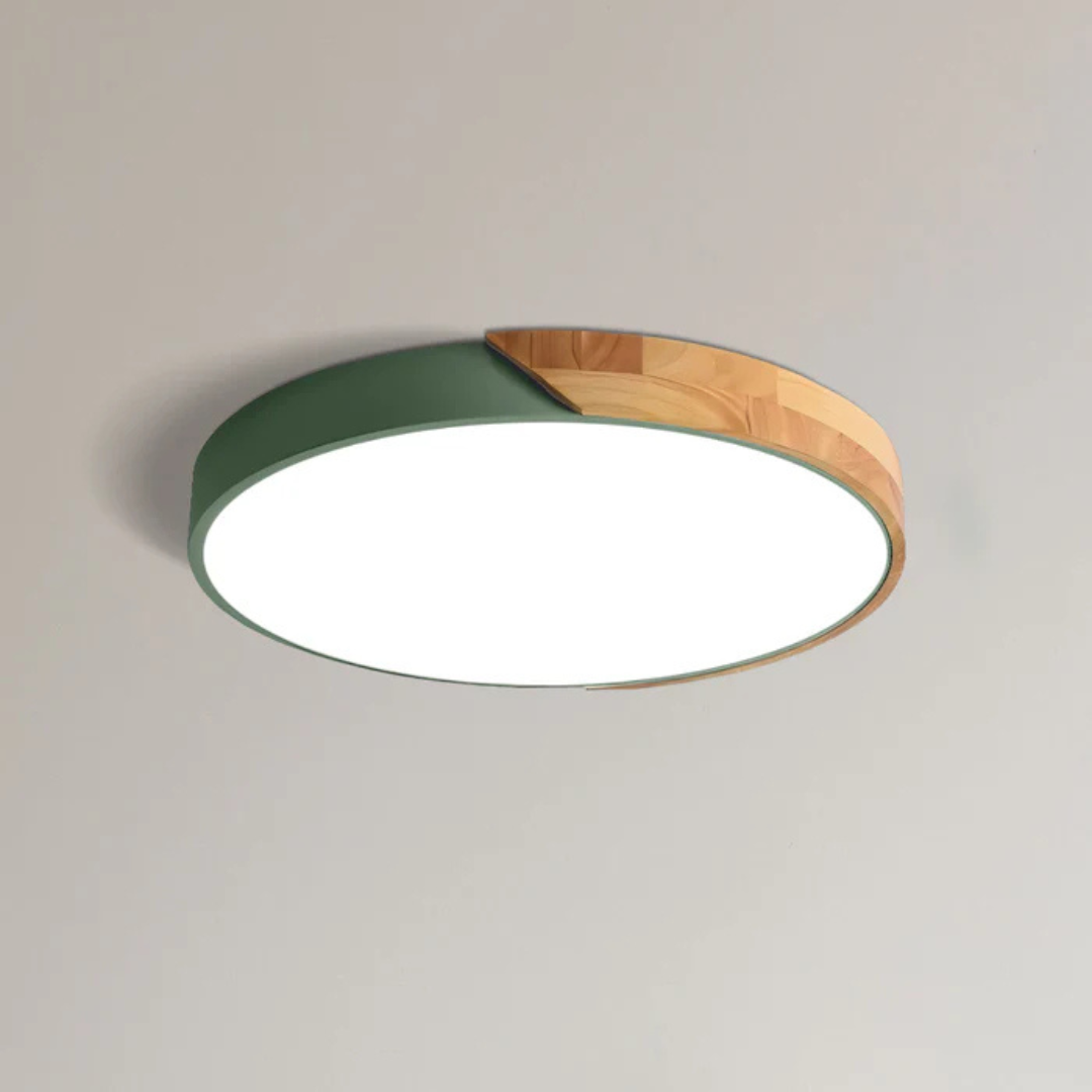 Metal and Wood LED Ceiling Light in Green