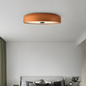 Retro Dome LED Ceiling Light – product photo