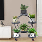 Six-Tier Wrought Iron Plant Stand
