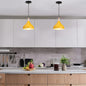 Teardrop Metal Pendant Light with Wood Accent