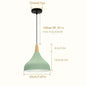Teardrop Metal Pendant Light with Wood Accent