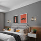 Tinted Glass Globe Wall Lamp