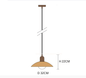 Two-Tone Bauhaus Dome Pendant Light