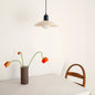 Two-Tone Bauhaus Dome Pendant Light