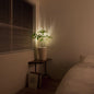 Wireless LED Accent Spotlight with Remote
